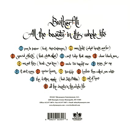 "All The Beauty In This Whole Life" Double Vinyl